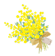 ミモザの花